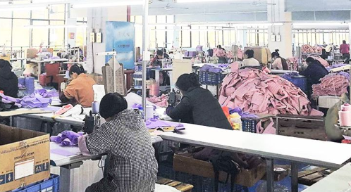 How Do Sample Programs and Logo Customization Ensure Quality Success?